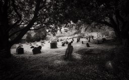 Culross Abbey: Graveyard