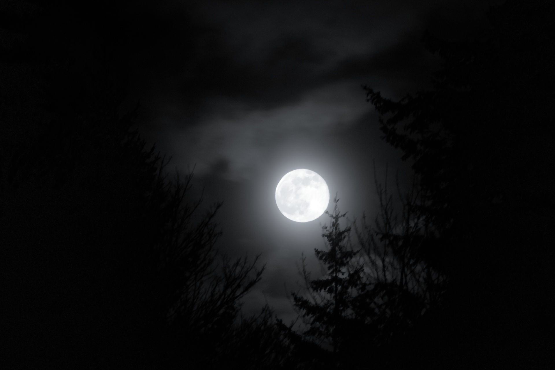 Display image: Moonrise, Logierait, Perthshire