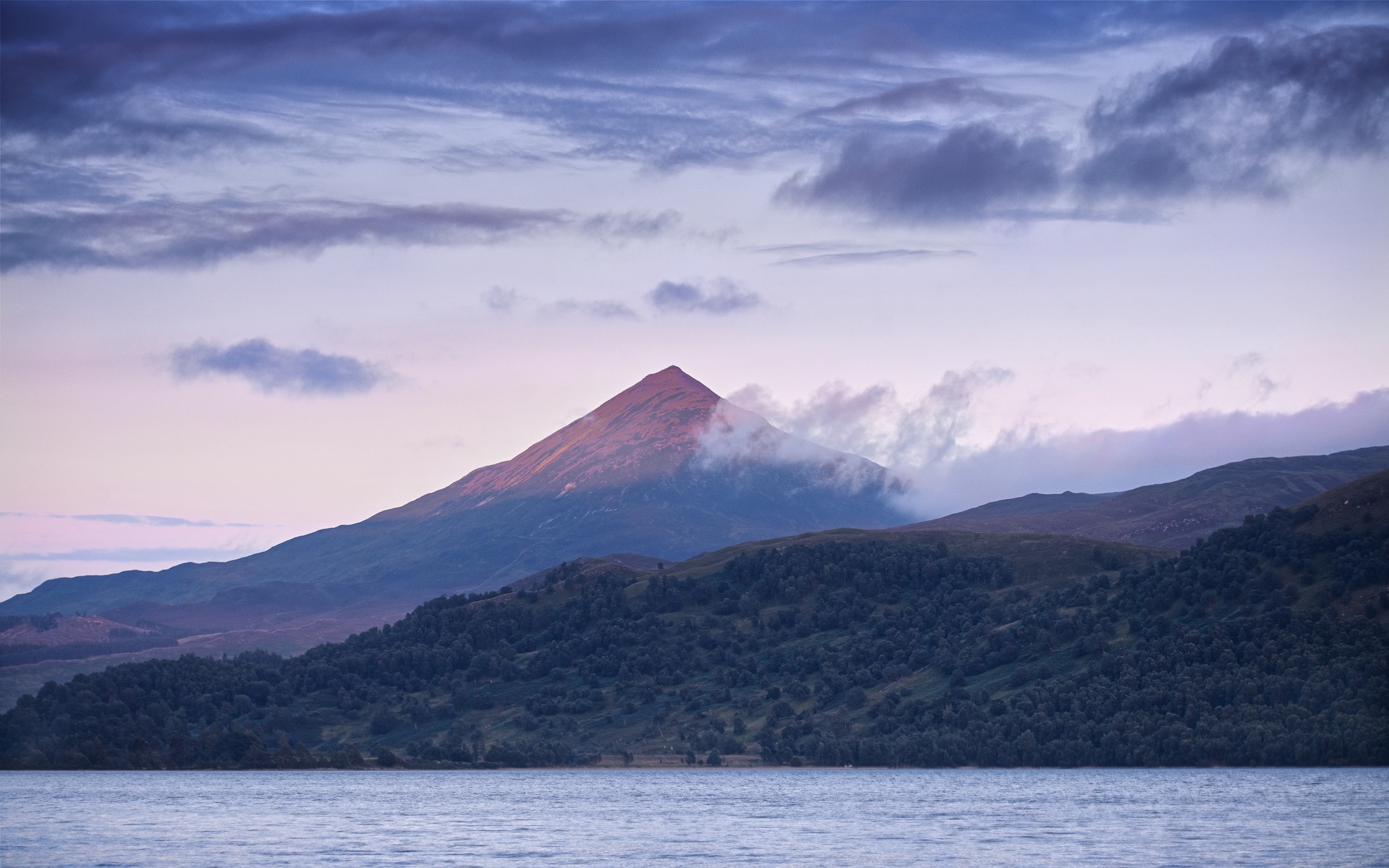 Display image: Purple-Headed Mountain