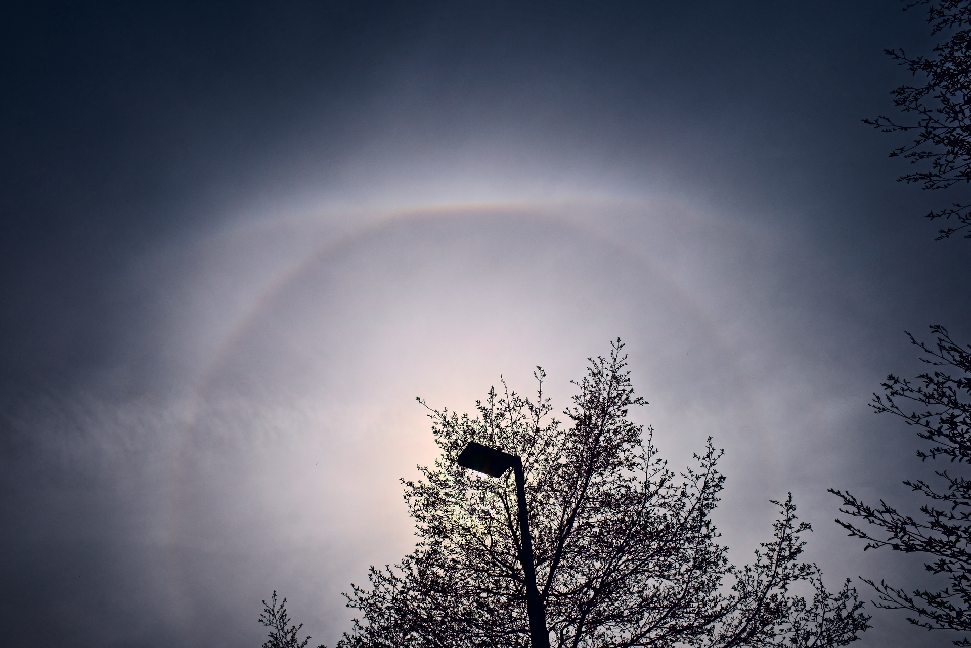 Display image: Solar Halo and Upper Tangent Arc